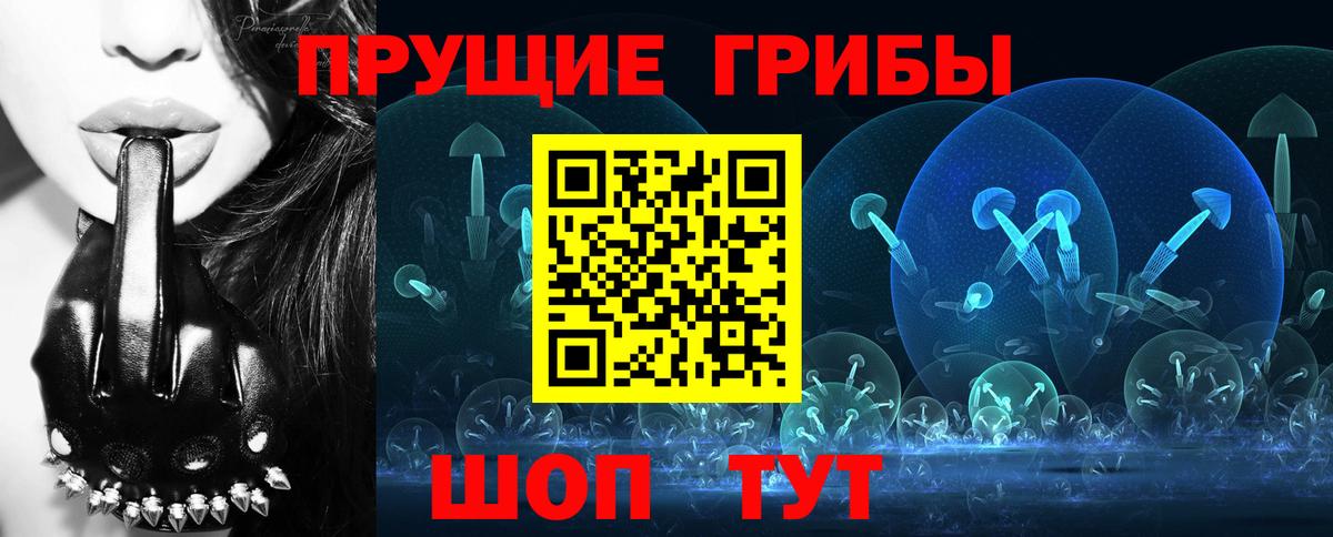 Коммунар  Псилоцибиновые грибы Psilocybine cubensis  Вход с VPN 